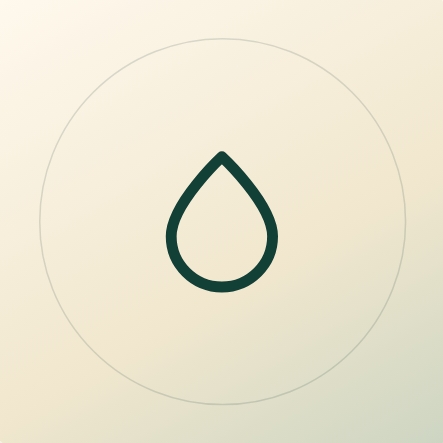 Wellness Education_pj3global
